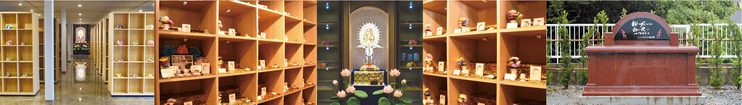 画像:桜乃郷イメージ